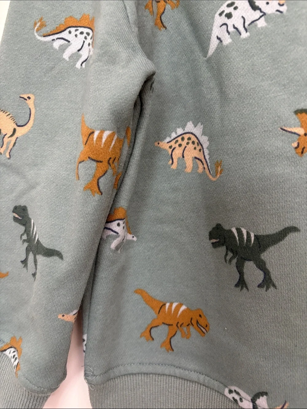4/$20 🌱 NWT Dino Print Sweatshirt